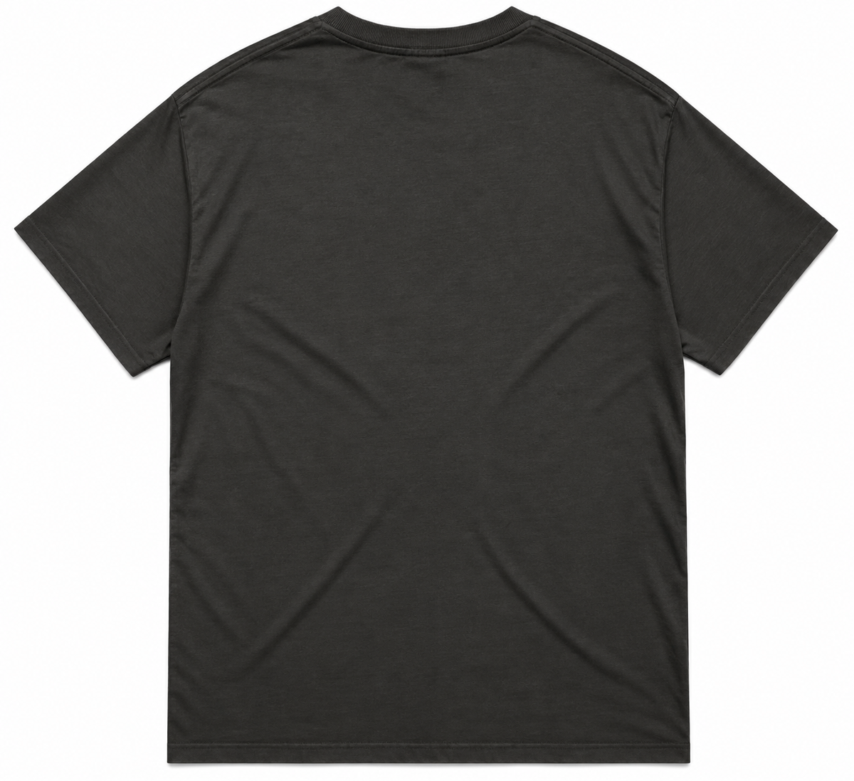 Back view of the Featherweight Champion men’s tee in charcoal.